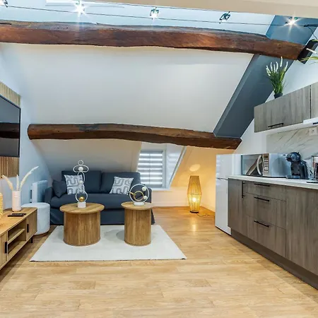 Le Duplex Du Chateau - Centre Apartament Fontainebleau