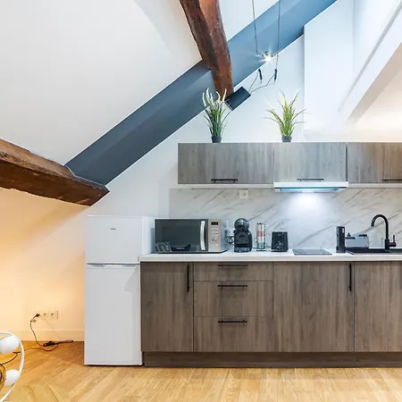 Apartament Le Duplex Du Chateau - Centre