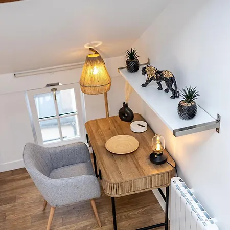 Apartament Le Duplex Du Chateau - Centre *