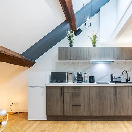 Le Duplex Du Chateau - Centre Apartment *