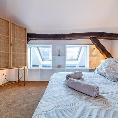 Le Duplex Du Chateau - Centre Apartment *